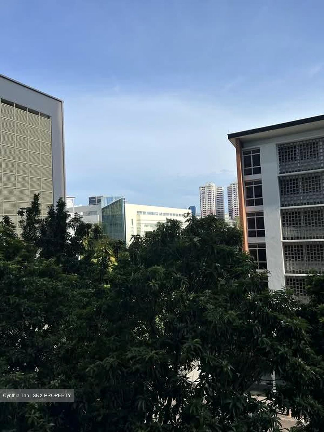 Blk 55 Strathmore Avenue (Queenstown), HDB 5 Rooms #569687641